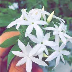 Meet your Posher, Alejandro